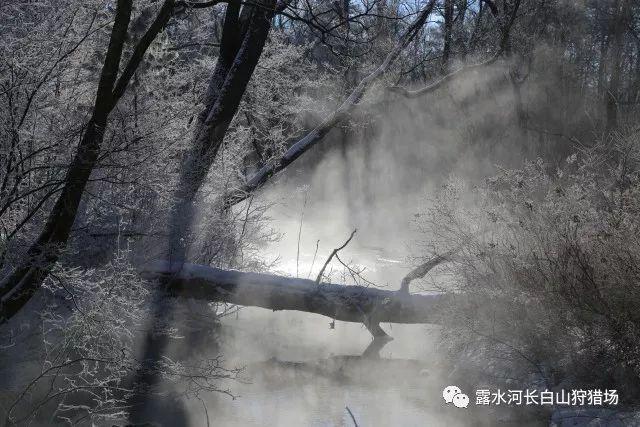 召唤神龙万宁版祖龙