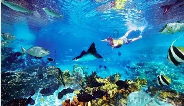 今年春运滨州预计发送旅客300万人次