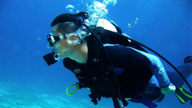 逃离森林湖畔
