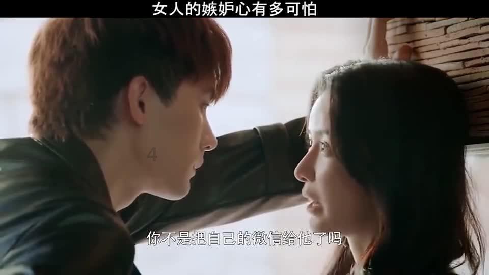 “登陆”23载，台胞“张老师”爱在天津