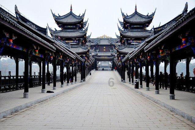动物帮帮忙保卫家园